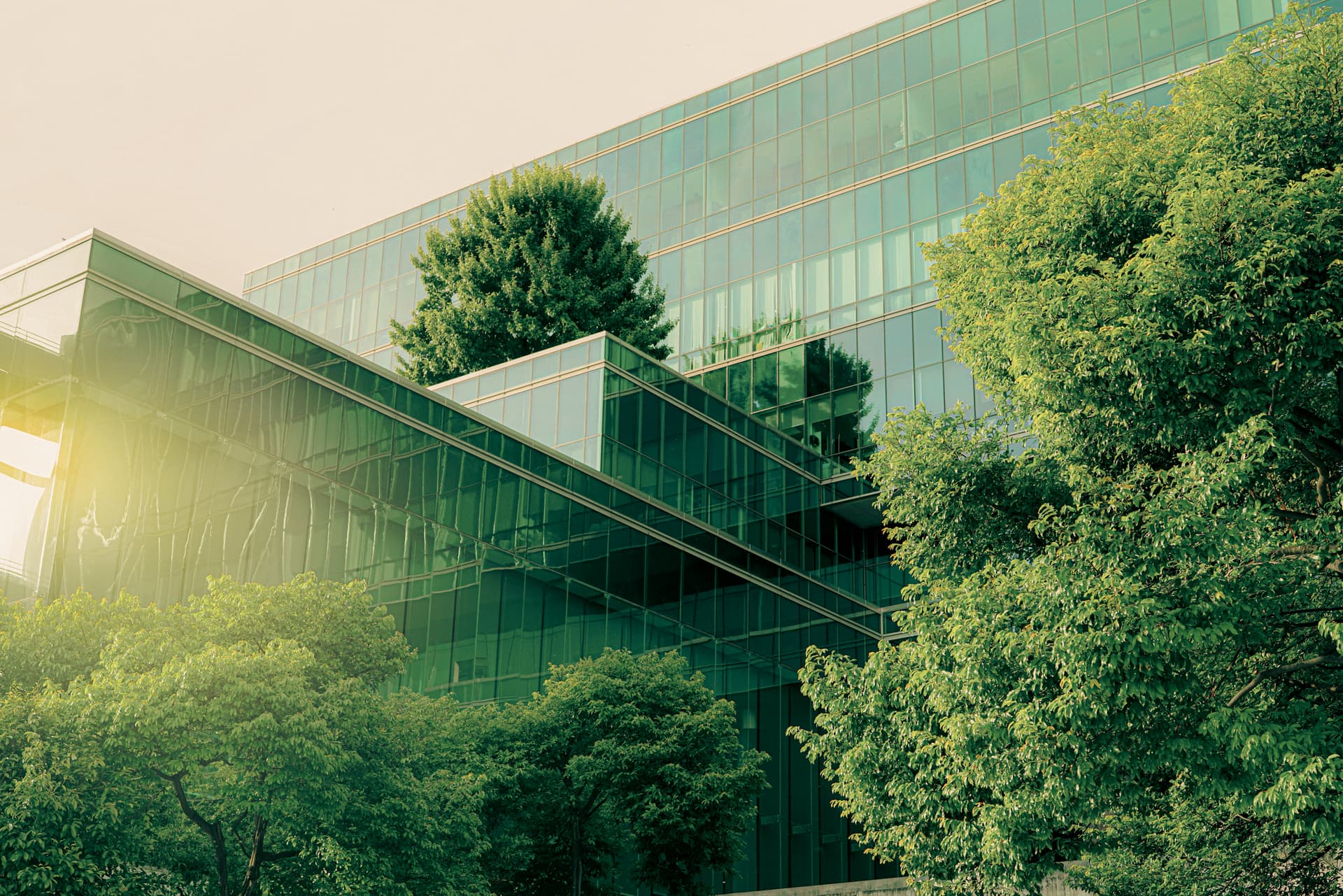 Sustainable green building. Eco-friendly building. Sustainable glass office building with tree for reducing carbon dioxide. Office with green environment. Corporate building reduce CO2. Safety glass.