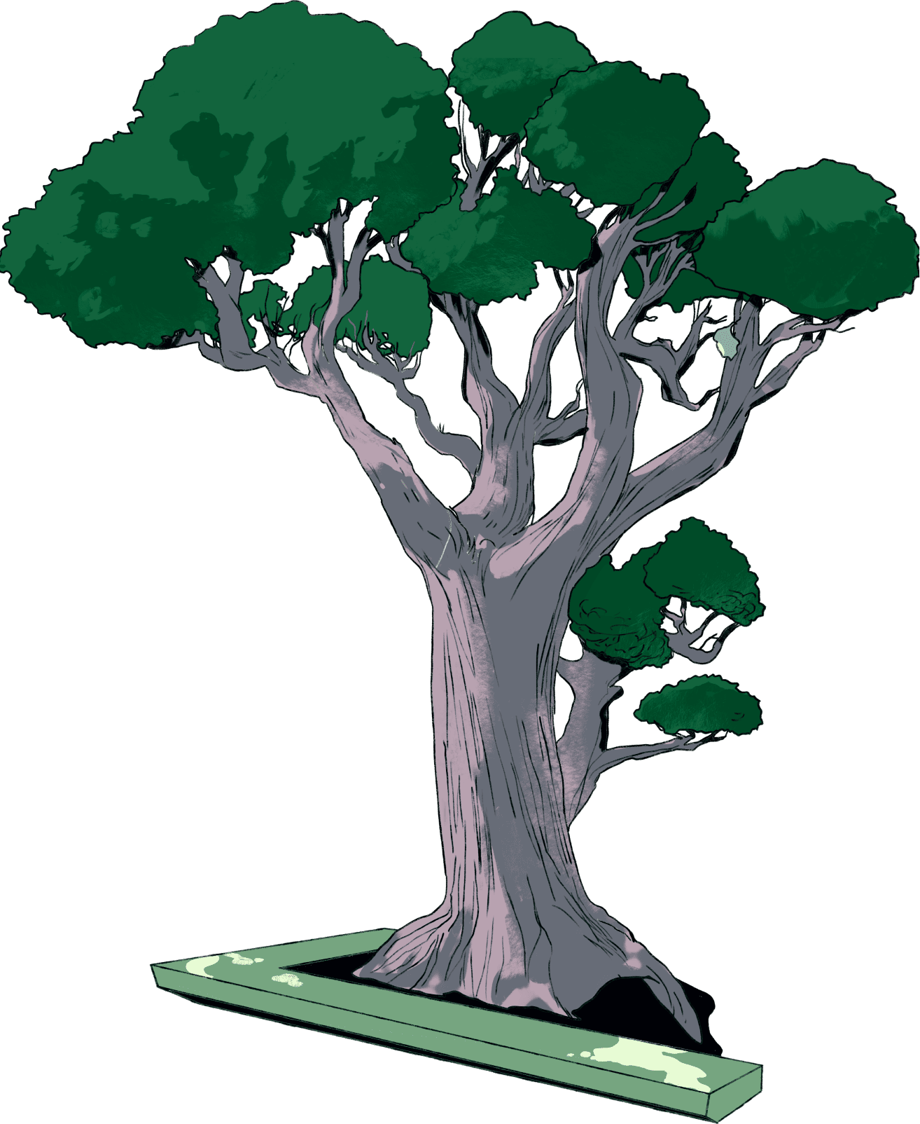 Tree